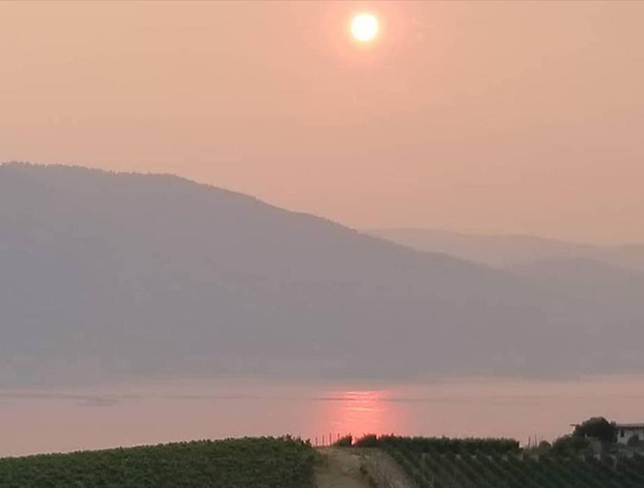 View of heavy wildfire smoke blanketing Okanagan Lake at sunset.